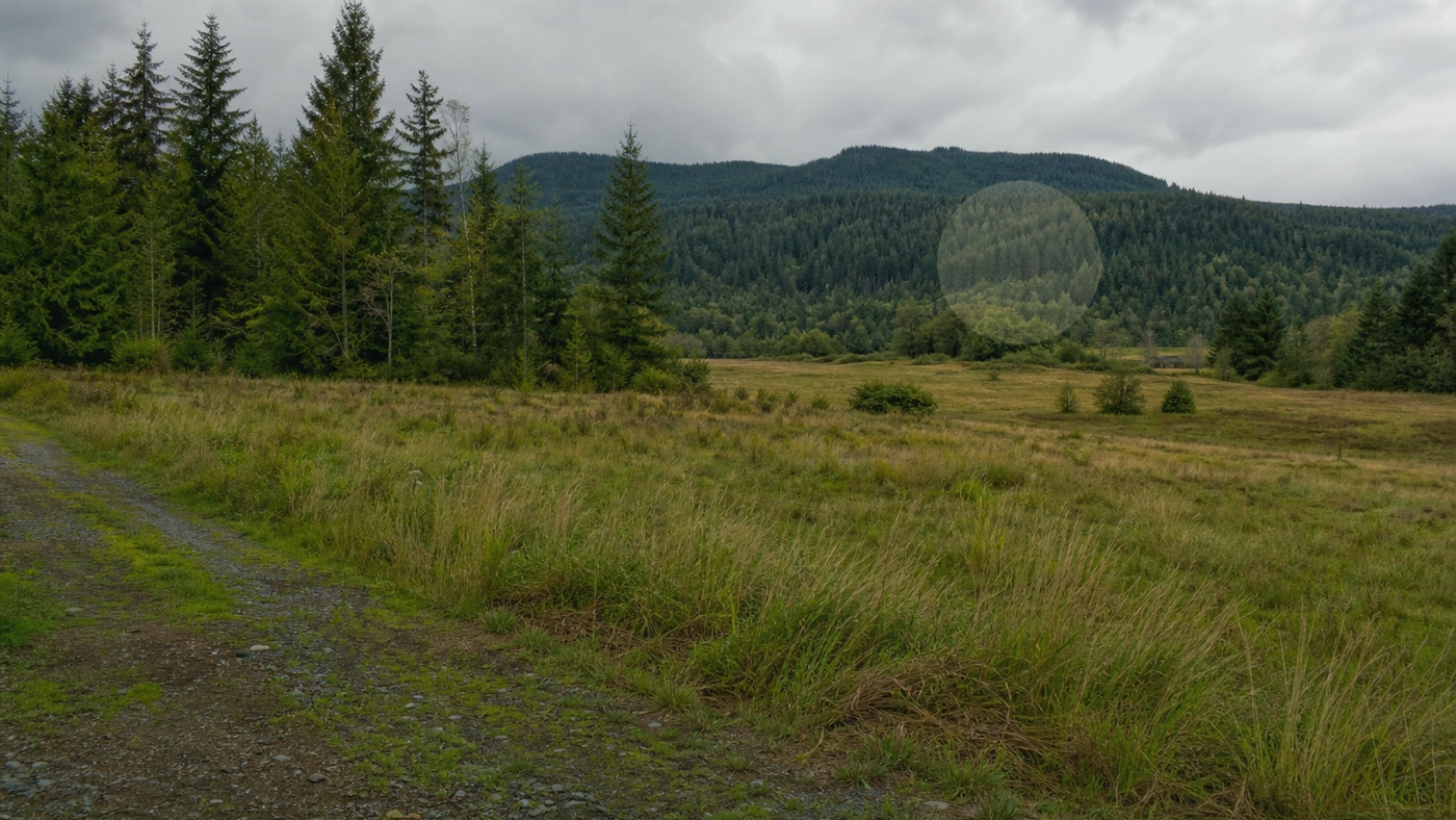 How to Sell Inherited Land in Washington Washington land guide