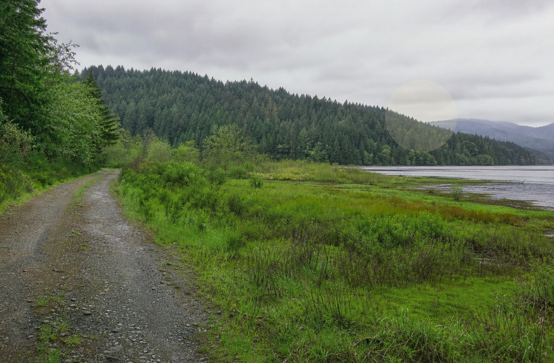 Washington title and closing preparation for How to Sell Land Online in Washington