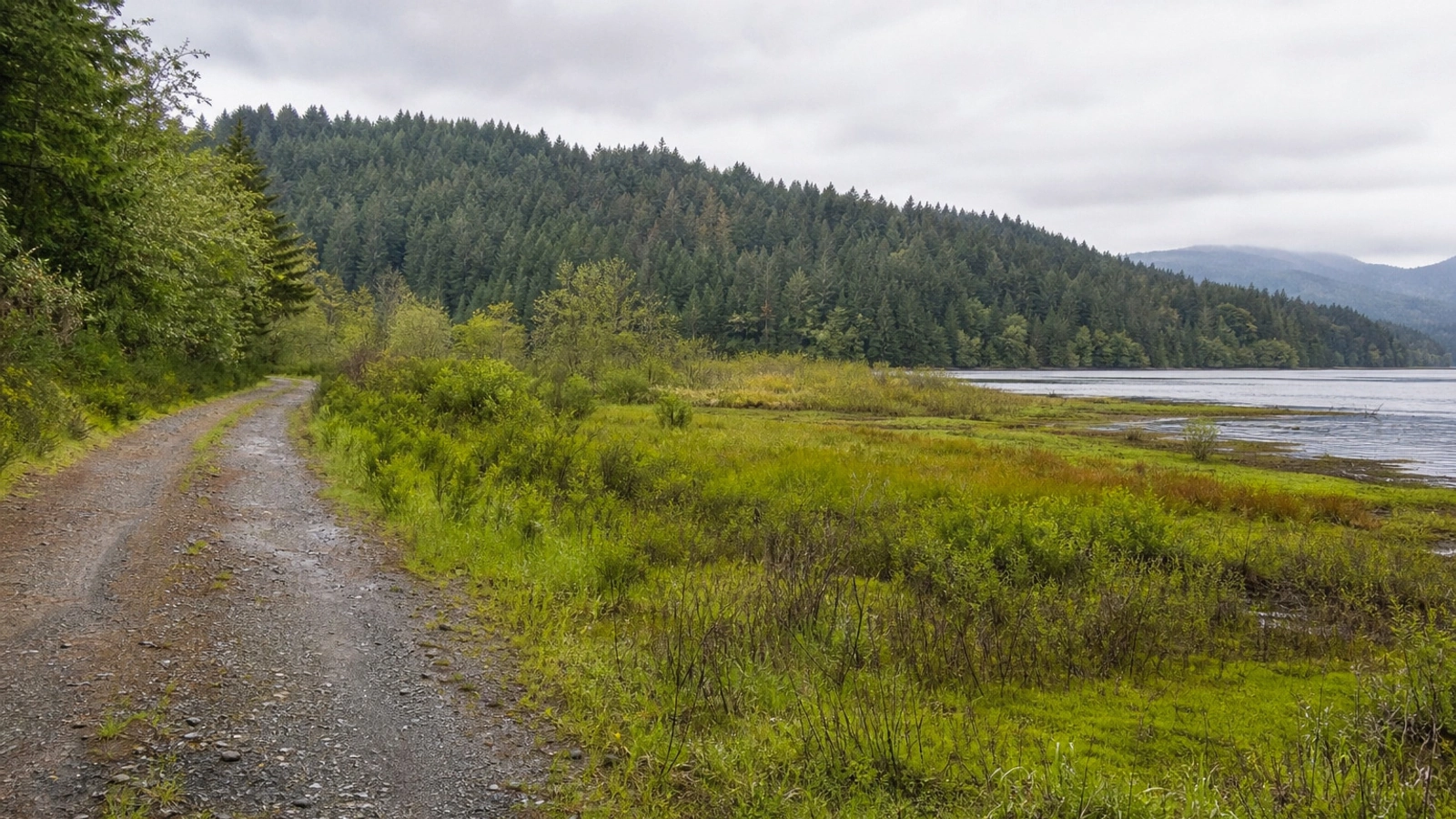 Open Washington land access road near Auburn