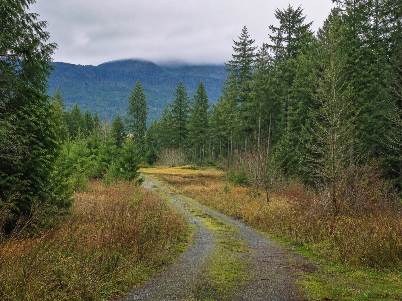 Rural Access Parcels in Auburn